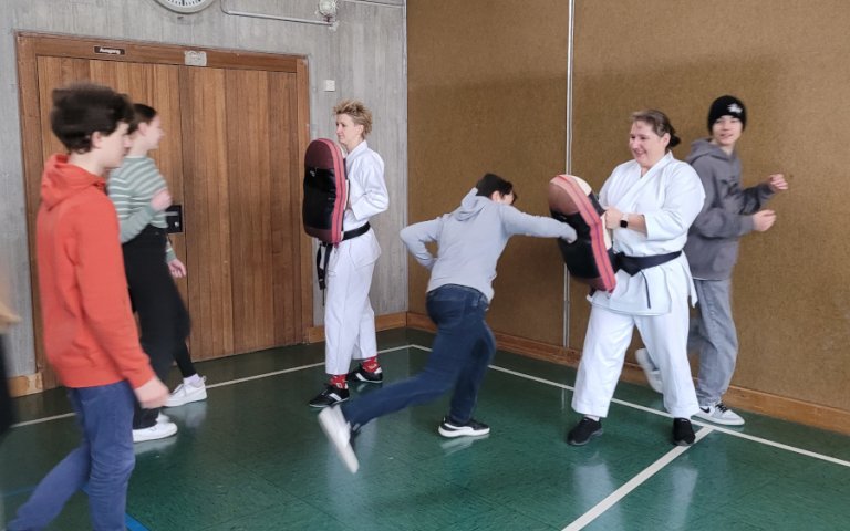 Teststunde Karate - weitere Bilder in der Galerie
